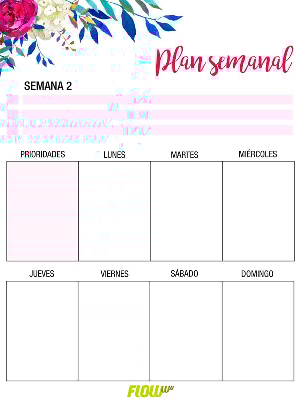 plan-semana-2
