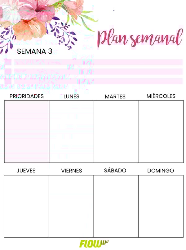 plan-semana-3