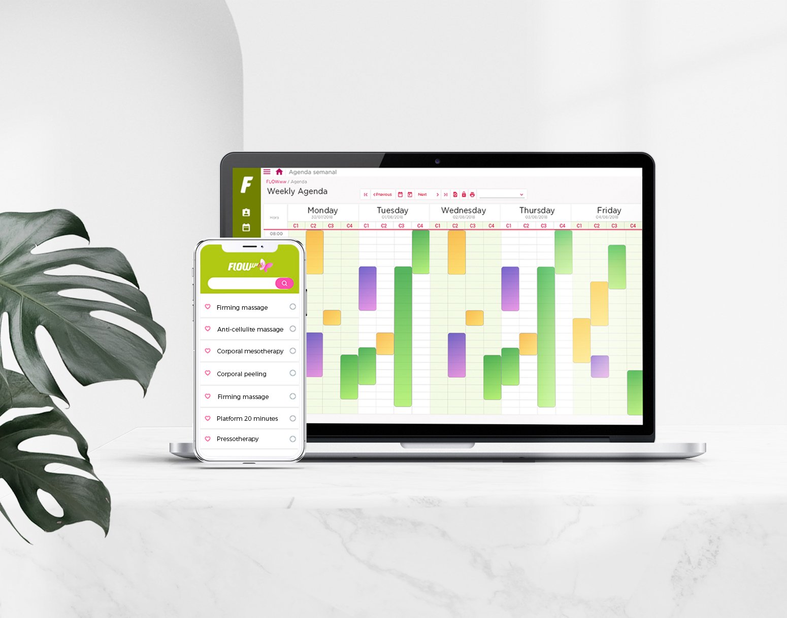 appointment manager -  online appointments  - management clinics - flowww